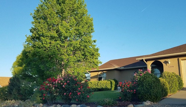 Gorgeous home with lots of space. Beautifully landscaped back yard.