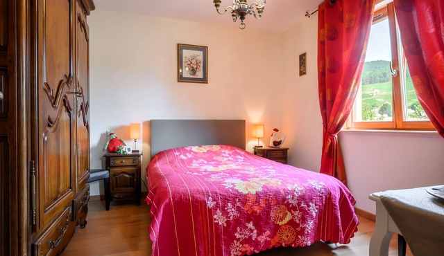 Guest Room “La Châtelaine - Pinot Blanc” with Mountain View, Shared Terrace & Wi-Fi in Walbach