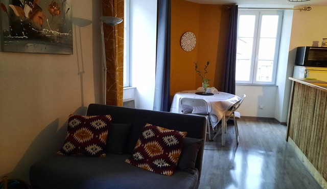 Highly functional apartment in Auvergne near Clermont-Ferrand in Pont Du Chateau