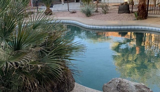 House with pool and large backyard