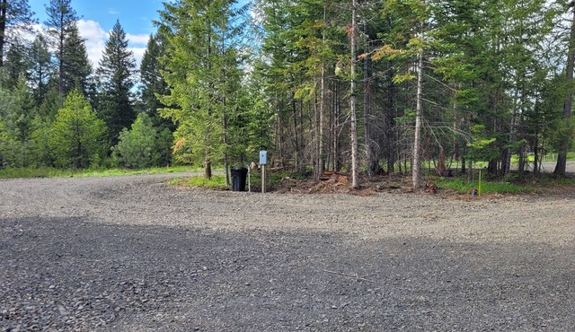 Large RV site with full hookups on 16 wooded acres. Site B. in Deary