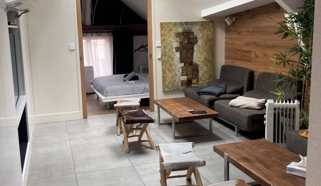 LE COCON DE NOTRE DAME "LOFT" apartment 140M2 in Annecy