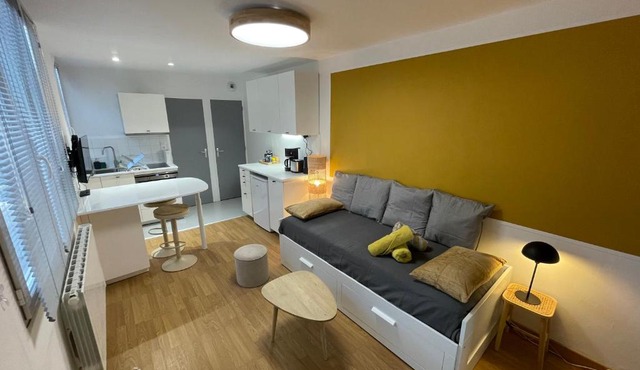 Le Kitsune - Studio refait a neuf avec parking in Rouen