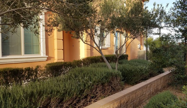 Luxury Lake Las Vegas Condo 2 Bedroom w/Amenities