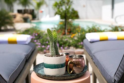 Luxury Oasis with Pool Sleeps 7 - Close to Old Town in Scottsdale