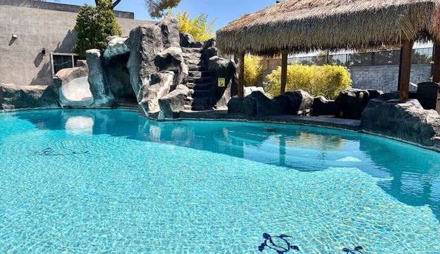 Luxury Vegas Compound: Waterfall Pool & Full Court