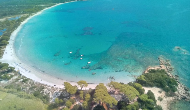 macchia e mare mini villa 3 * of 24m² in Porto-Vecchio
