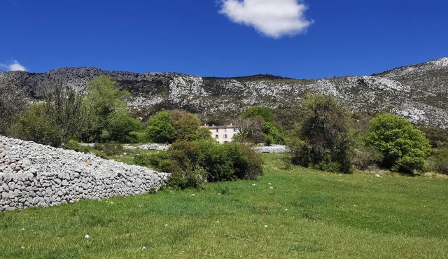 MAGNIFICENT "BASTIDE" GITE ON ORGANIC FARM/DONKEY HANDLING IN LE VERDON in Bargème