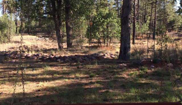 New! Artistic Studio Retreat that is Quiet & Relaxing, Bordering National Fores