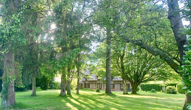 Normandy cottage between bocage and forest in Le Pin