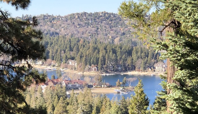 Peaceful Cozy Cabin Amongst the Trees with View of Lake Arrowhead