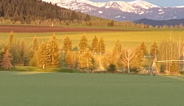 Peaceful Setting. Amazing Views! Close to DwnTwn & MSU in Bozeman