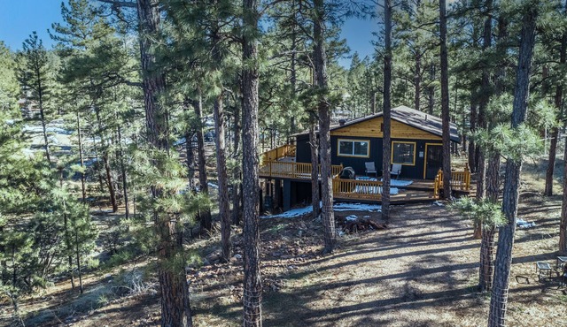 Peaceful Show Low Cabin in the pines! 3 min to the lake!
