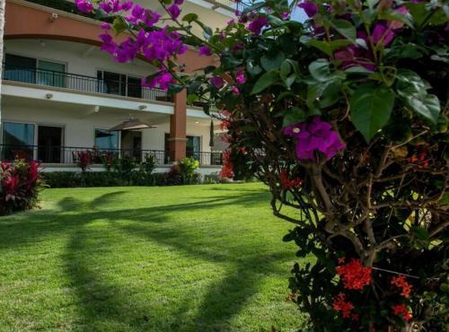 Playa Royale in Cedro