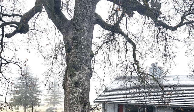 Private cottage quiet & peaceful 2-bedroom in Tehachapi