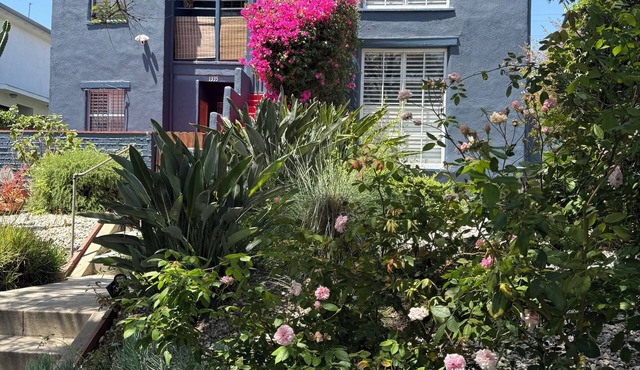 Quiet Guest Suite w/Private Entry + Garden in Central LA