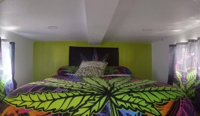 Reefer Madness House *420, Glow in the Dark, Fun!