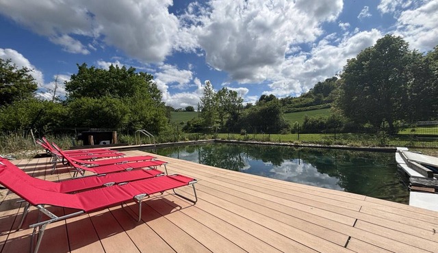 Rustic cottage, pets & AC - 12 guests in Sanssat