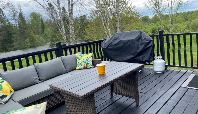 Rustic Pet Friendly 4 Bedroom Open Concept Cottage with Hot Tub in Coe Hill