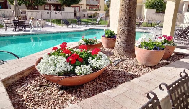 SCOTTSDALE LUXURY 2BD. CONDO OVER 100 5 STAR REVIEWS HIDDEN GEM RESORT AREA.
