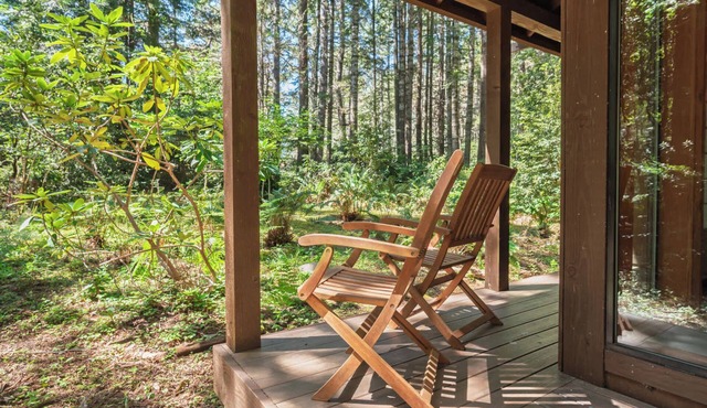 Sea Ranch Studio Cabin nestled in the Forest