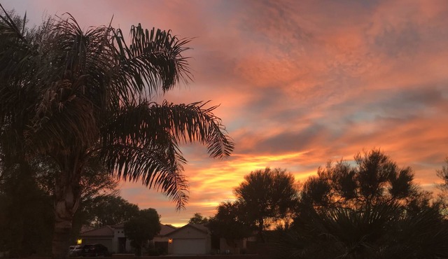 Secluded San Tan Valley AZ Home