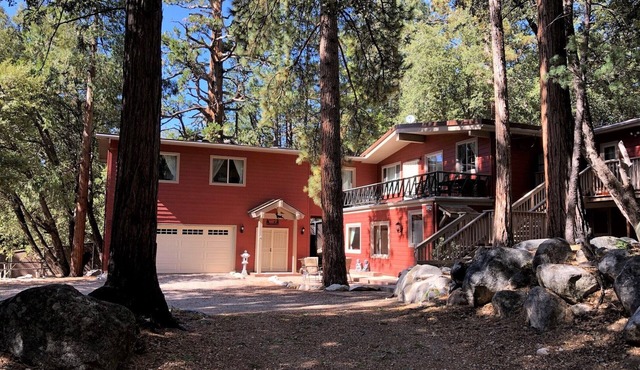 Secluded Spacious Lilli Rock Studio, Pet Friendly!