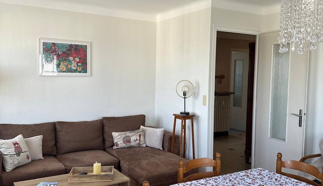 Spacious apartment in Évian with parking and pets allowed in Évian-les-Bains
