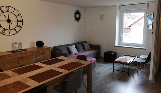 Spacious, bright apartment close to the ski slopes in Cornimont
