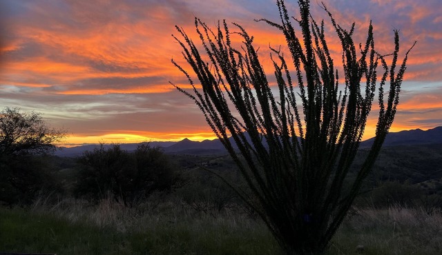 spectacular sunsets and 360 degree views
