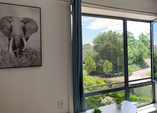 Studio Bourran + parking in Rodez