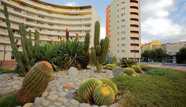 Studio Confortable + Kitchenette | Wi-Fi Gratuit in Perpignan