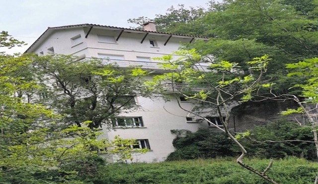 Studio perched in the flora of the High Vallespir in Prats-de-Mollo-la-Preste