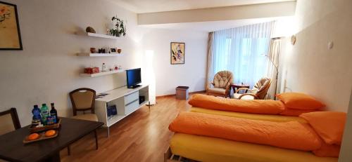 Studio Fumzi in Ascona