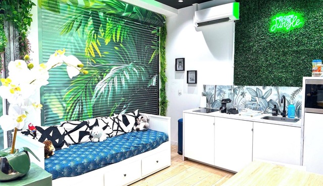 Studio "Jungle "*Netflix*video projector*WIFI in Lyon