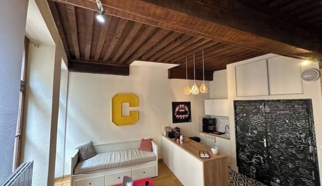 Studio Le Cocon de Jacquard * WIFI in Lyon