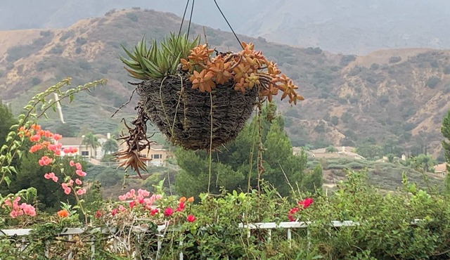 Stunning Mountain Views 4 Bedroom Mediterranean upscale home