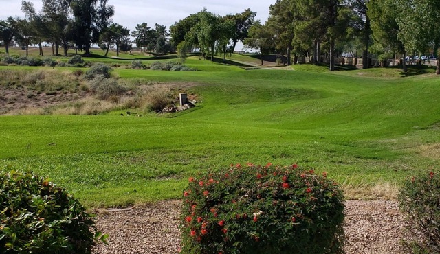 Superstition Lakes Golf Condo in East Mesa - Golf Course Views of the 9th Hole