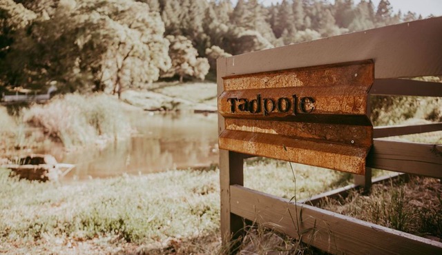 Tadpole Cottage