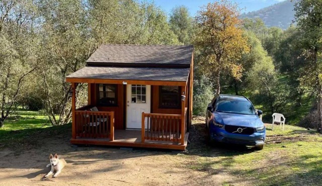 The Cozy Tiny Shabin Cabin