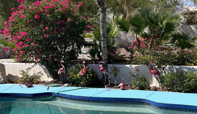THE MADONNA INN SCOTTSDALE (private room/rooms) LUXURY SUITES TALIESIN WEST!