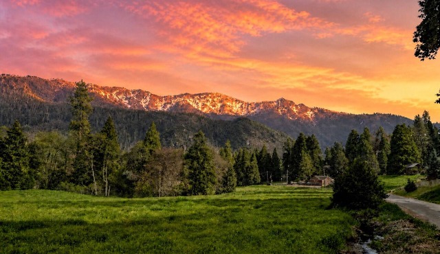 The Sequoia Time Capsule: Spa, Walk 2 Giant Sequoias, River, Fish, Bike, Saloon