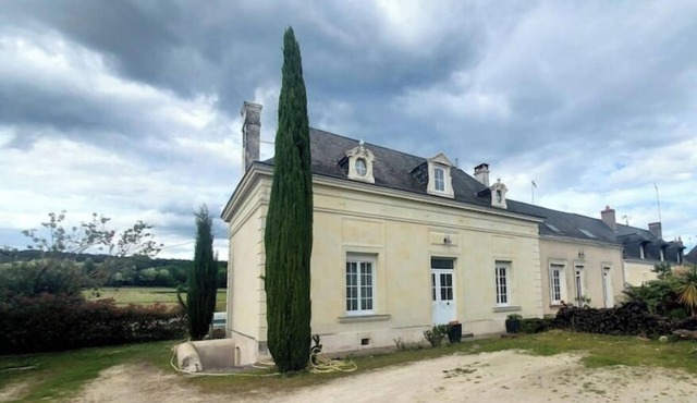 The vineyard setting in Bourgueil