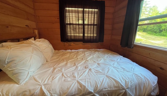 Timeless Nostalgic Resort Cabin Steps from the water and campfire nights! in Mohawk