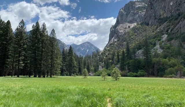 Tiny House for 2 near Kings Canyon NP
