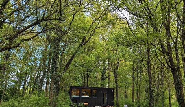 Tiny House La Clairière Au Cœur de la Forêt ! in Sonchamp