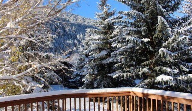 Updated Eagle-Vail 4 bedroom Duplex with Private Hot Tub and Sauna. Sleeps 10. in Avon