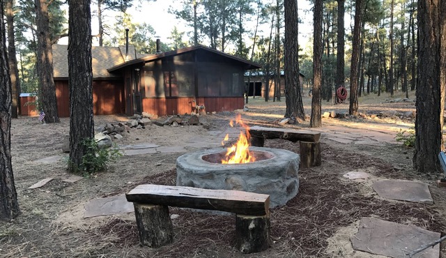 Wild Saddle Ranch Cabin-Our gate opens to the Sitgreaves National Forest!