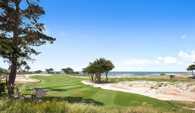 Willow Tree - Pebble Beach House - Golf, golf, golf, from Spyglass to Spanish Bay! in Pebble Beach