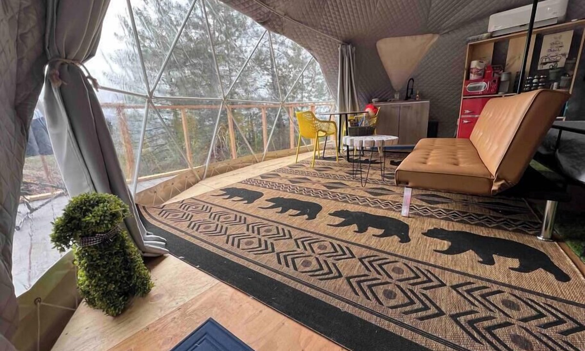 Dunlap Apartment | Dome 2- Mountain Views
